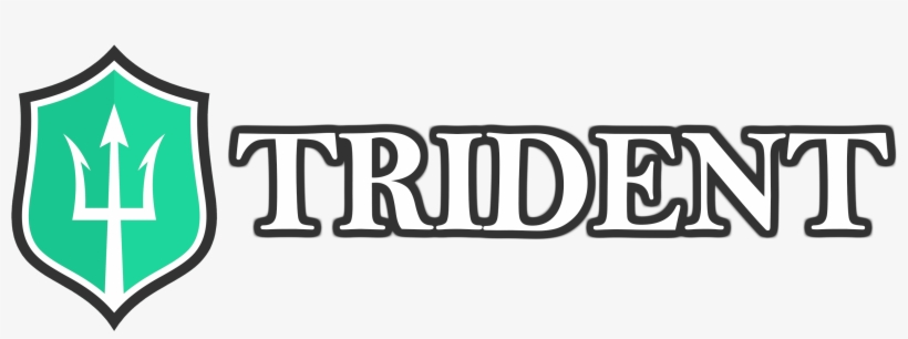 Tgn Banner Trans 3000×1000 299 Kb, transparent png download