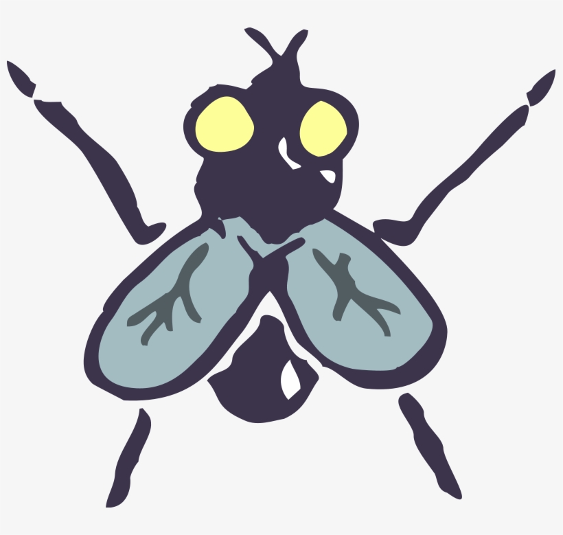 800 X 699 4 - Insect Vector Png, transparent png download