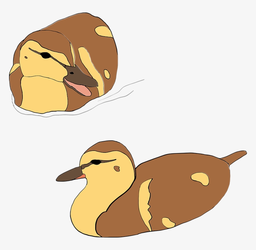 Farm Clipart Village - Duck, transparent png download