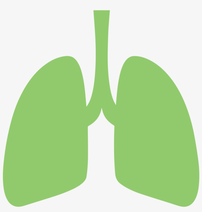 Respitory, transparent png download