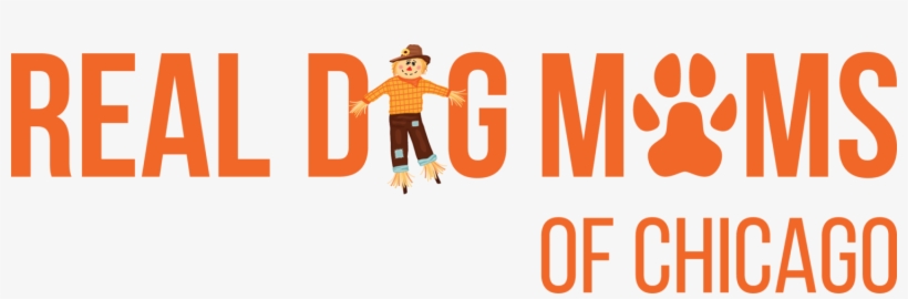 Real Dog Moms Of Chicago - Beard Man, transparent png download