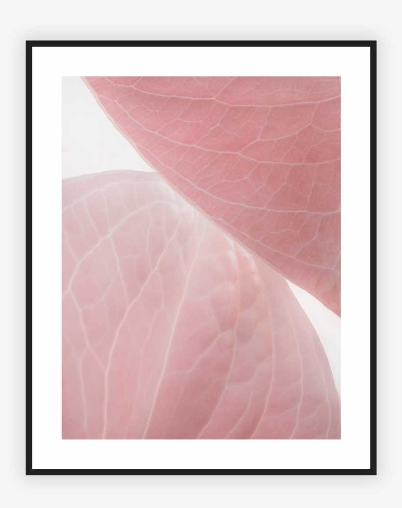 Home/nature/natural Shapes I - Visual Arts, transparent png download