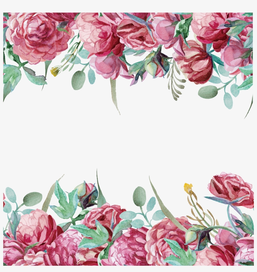 Peony Png, transparent png download