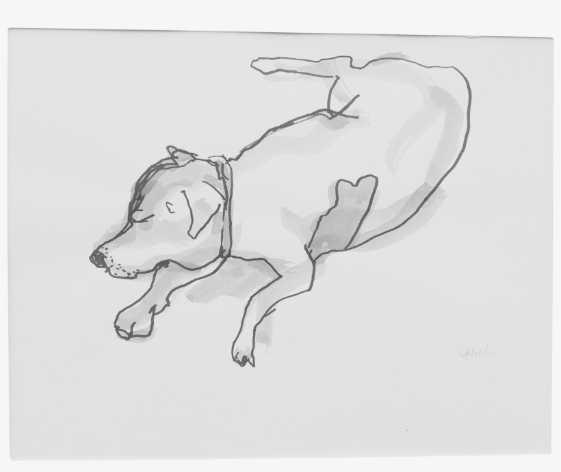 2546 X 2018 3 - Sketch, transparent png download