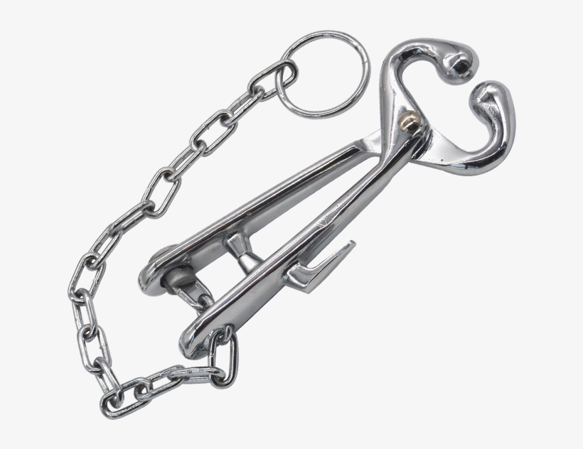2452354883 - Chain, transparent png download