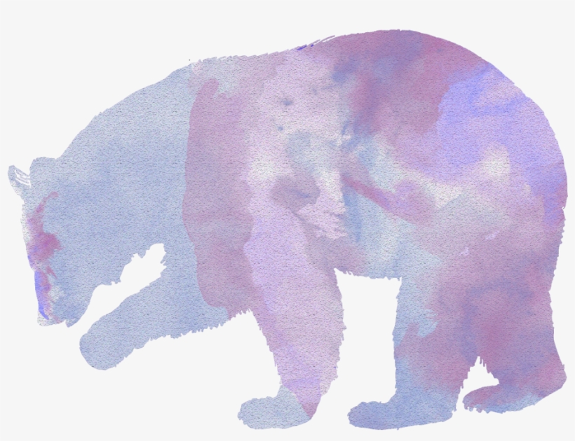 And We Examine The Rise In Human Bear Interactions,, transparent png download