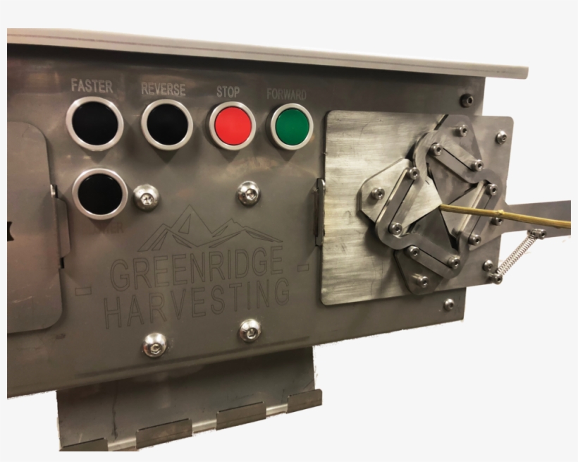 Black Bear Iris Small Stem - Electronics, transparent png download