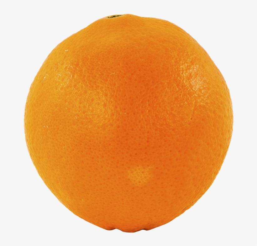 Fruit, Orange, Png, Transparent, Cutout - Blood Orange, transparent png download