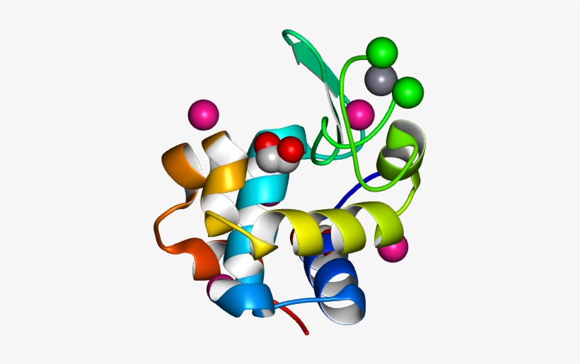 Database Information - Illustration, transparent png download