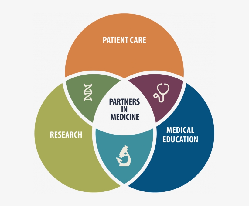 Uf Health Partners In Medicine Venn Diagram Overlapping - Education Is The Enemy, transparent png download