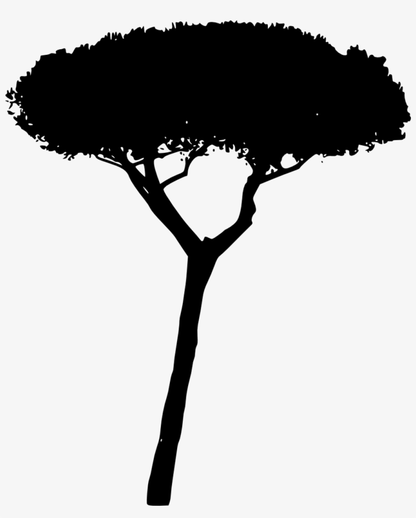 Tree Trees Silhouette 4trueartists Hd Contour Backlit - Silhouette, transparent png download