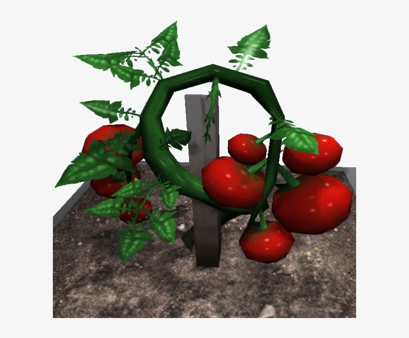 Cherry Tomatoes, transparent png download