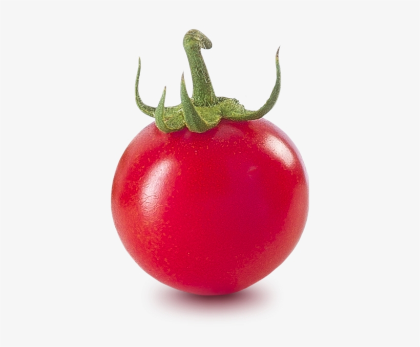 Piccolo - Plum Tomato, transparent png download