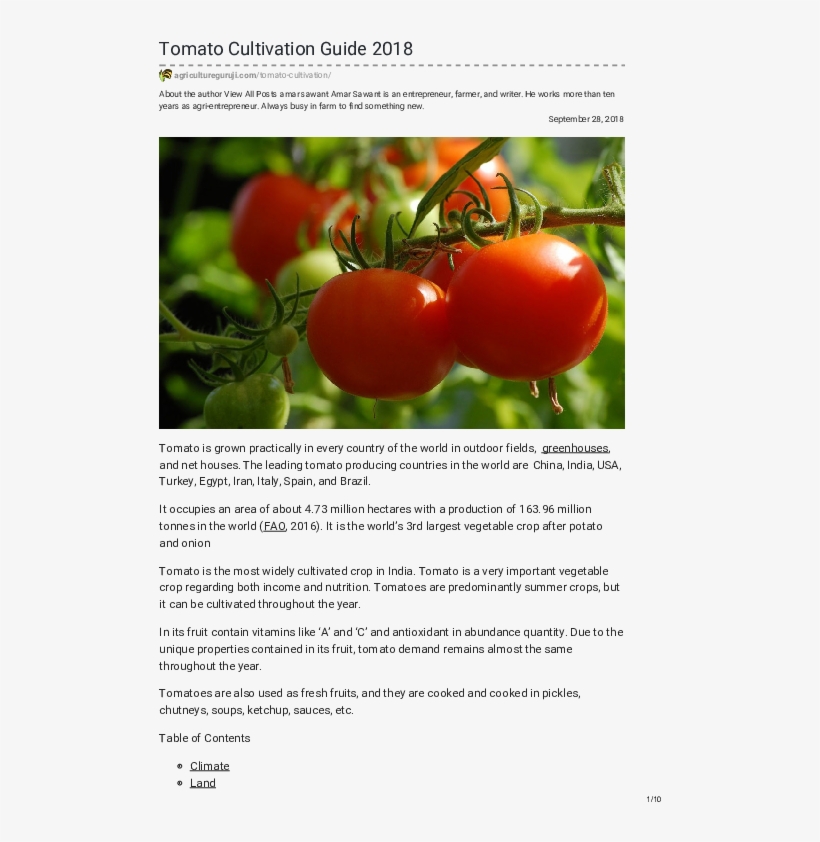 Pdf - Tomato, transparent png download