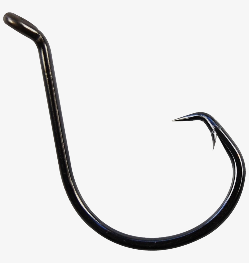 Fish Hook Png, Download Png Image With Transparent - Reptile, transparent png download