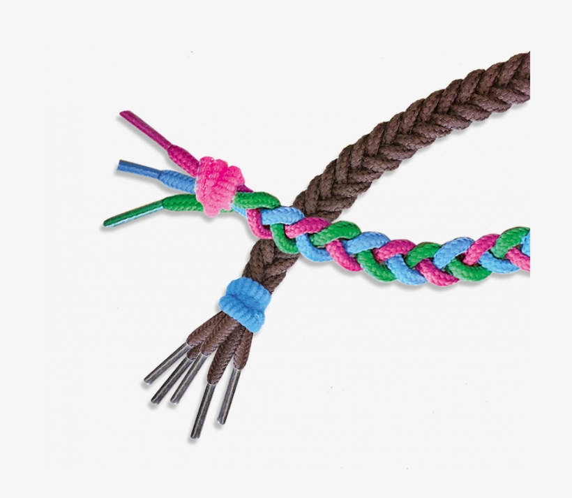 I Learn To Braid - Insect, transparent png download