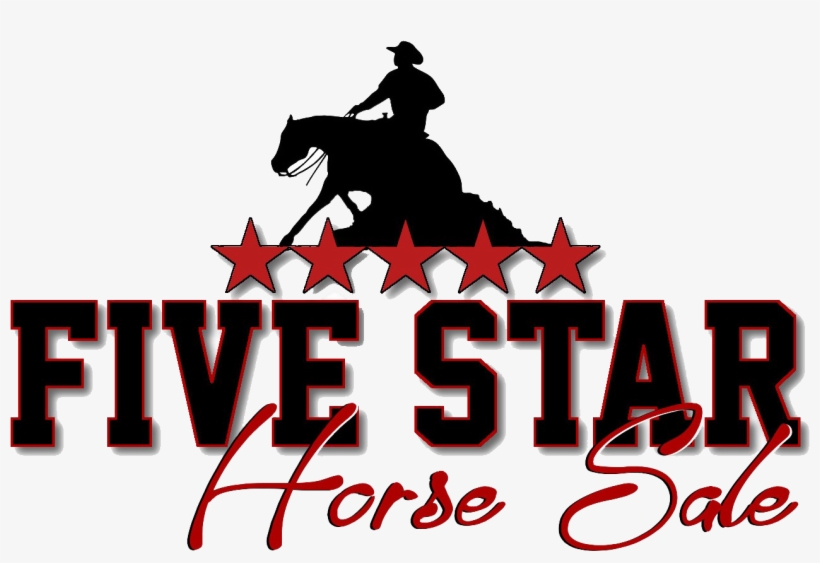 Contact Info X - Stallion, transparent png download