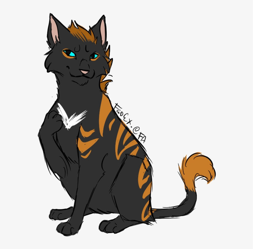 Details - Black Cat, transparent png download