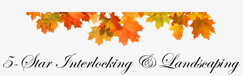 Leaf - Autumn, transparent png download