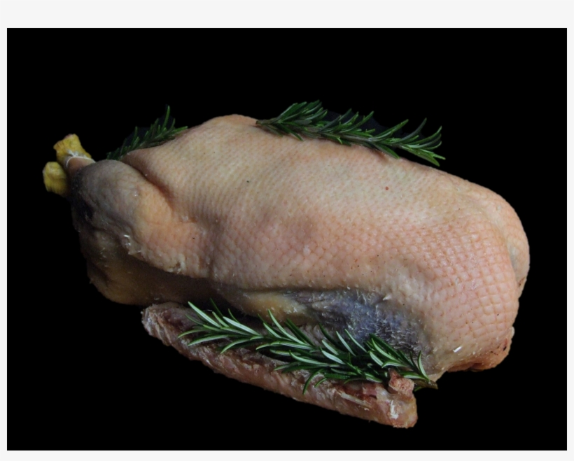 Fish, transparent png download