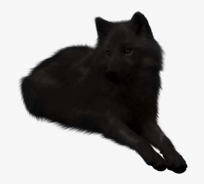 Image Black Wolf Stock Cutout By Lakshimithewolf D5b4uxn, transparent png download