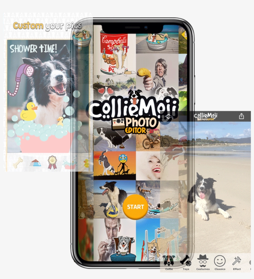 More Info - Companion Dog, transparent png download