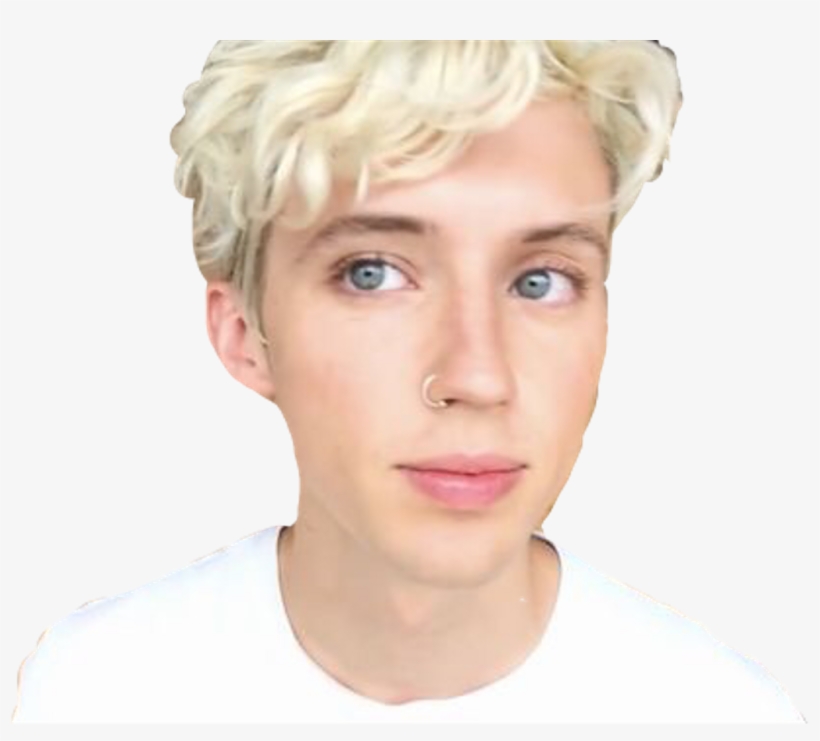 Troyesivan Sticker - Blond, transparent png download