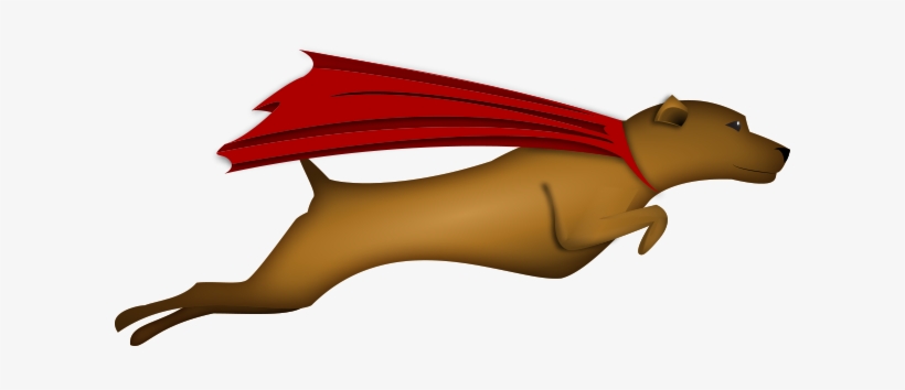 Superdogs - Dog Catches Something, transparent png download