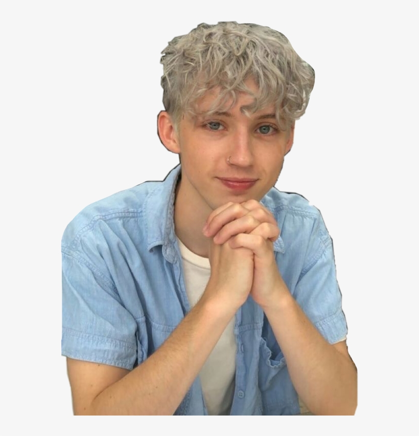Popular And Trending Troye Sivan Stickers On Picsart - Troye Sivan, transparent png download