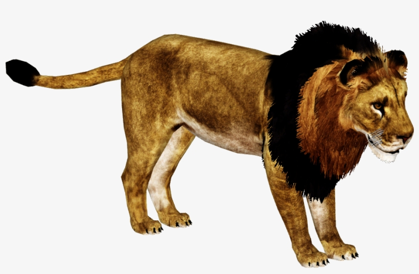 M4 Png, transparent png download
