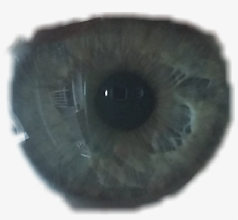 Tumblr Eyes Green Eyes Sticker By Mi Rh Picsart Com - Close-up, transparent png download