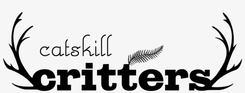 Catskill Critters Mobile Logo - Calligraphy, transparent png download