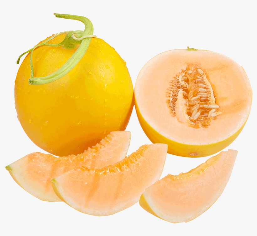 Lightbox Moreview - Honeydew, transparent png download