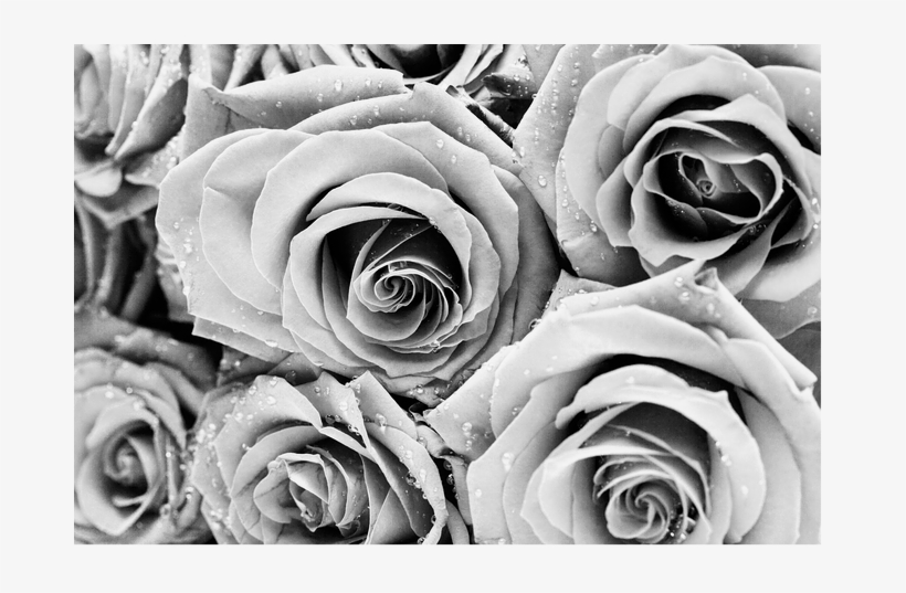 "when It Came Time To Give Our Website A Complete Overhaul - February, transparent png download