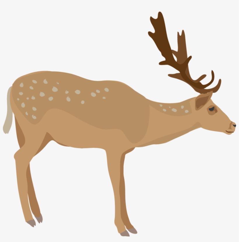Download Elk Png Images Background - Elk, transparent png download