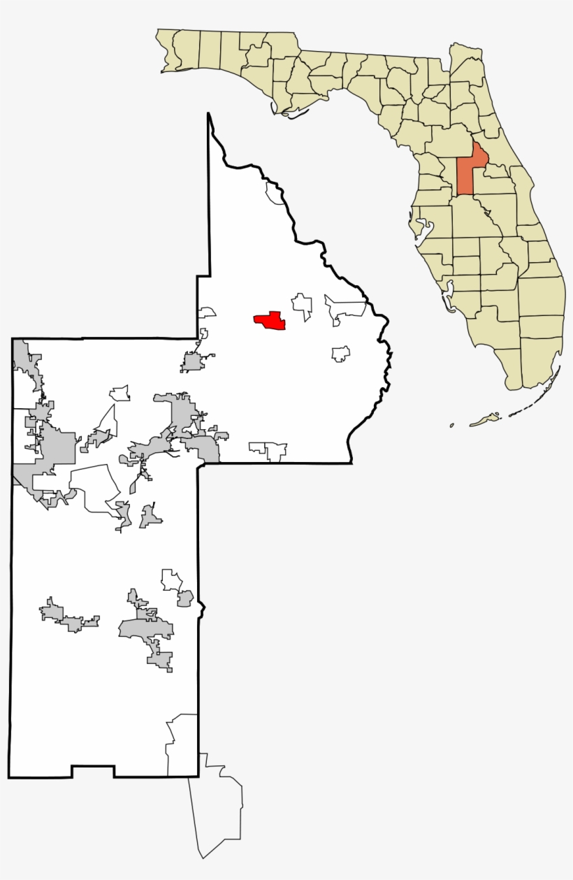 County Florida, transparent png download