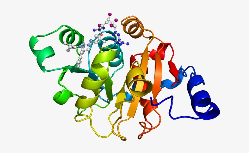 Eckari P-domain Nadph - Экспрессия Генов, transparent png download