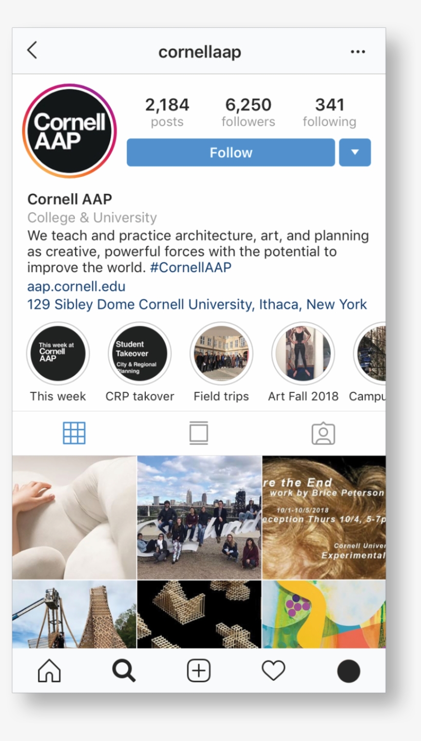Brand Guidelines Cornell Aap - Cornell University College Of Architecture, Art, And, transparent png download