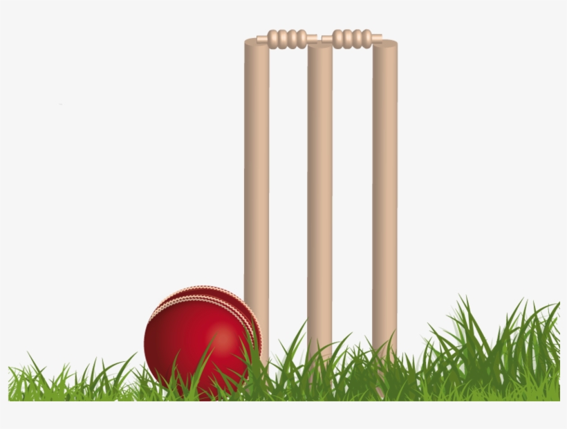 Cricket Png Background Image - Cricket Png, transparent png download