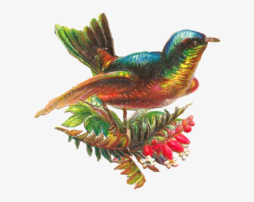 Free Digital Bird Clip Art - Digital Bird Png, transparent png download