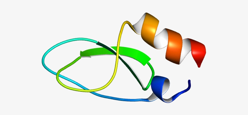 Database Information - Graphic Design, transparent png download