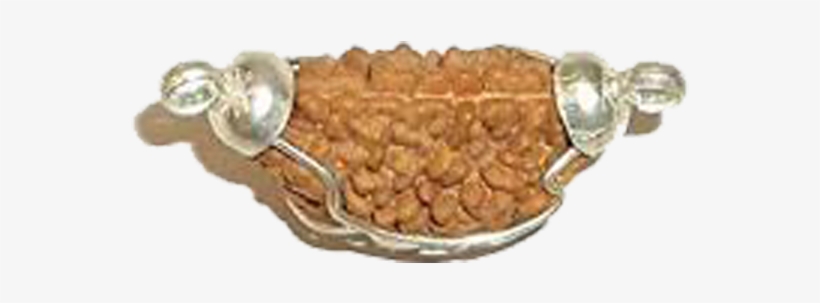 Enquiry Form - Ek Mukhi Rudraksha Bracelet, transparent png download