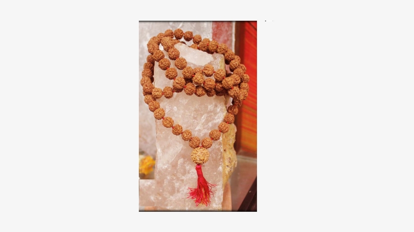 5 Augen Rudraksha Mala 20 Mm Ø - Chicken Meat, transparent png download