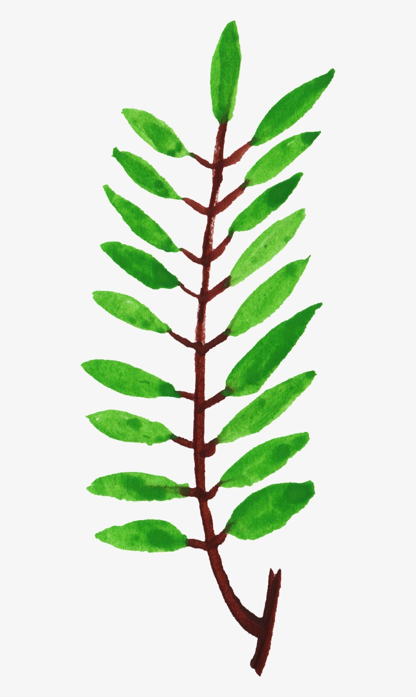 Free Download - Twig, transparent png download