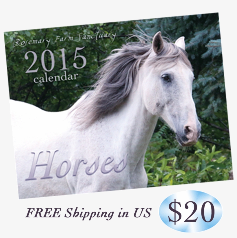 Fb-icon - College Expenses, transparent png download