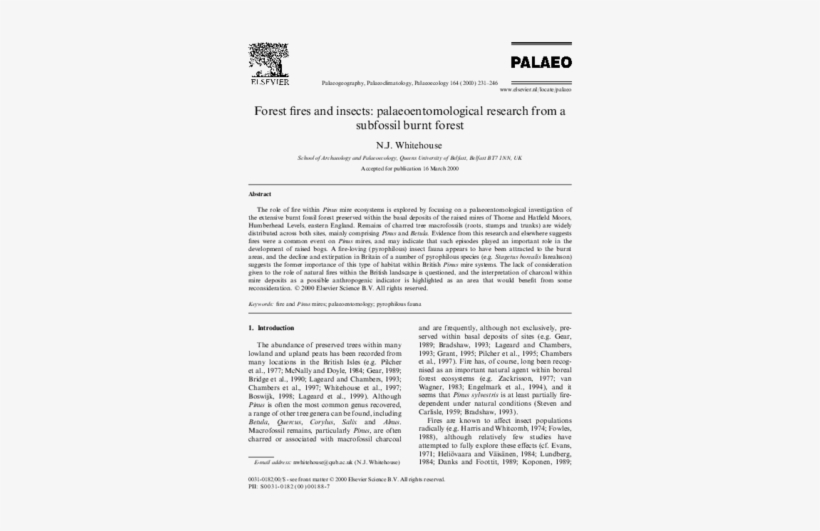 Pdf - Document, transparent png download