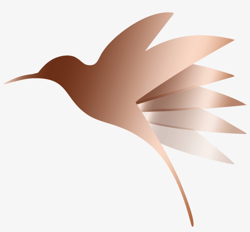 Cropped Hummingbird Only1 - Illustration, transparent png download