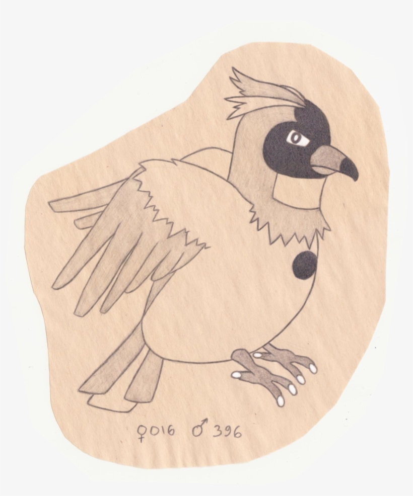 Tiny Bird Pokemon - Junco, transparent png download