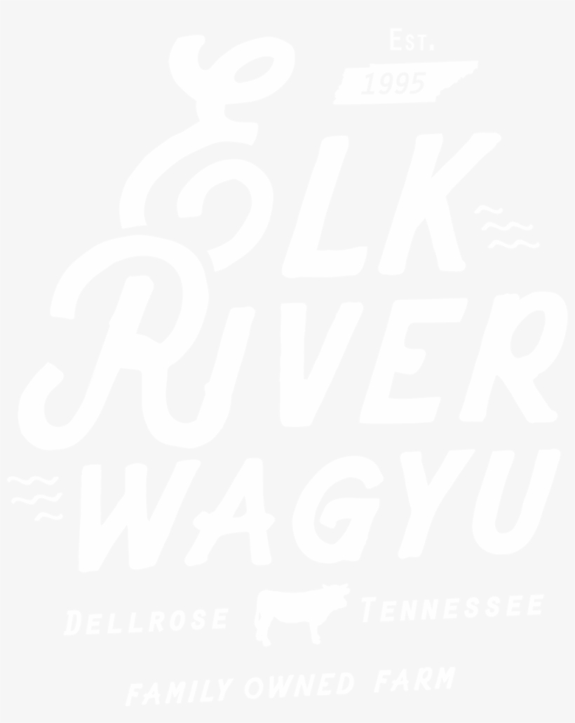 Erw Vert Logo White - Twitter White Bird Logo, transparent png download