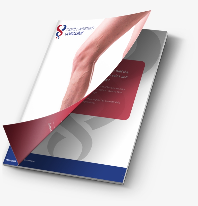 Download The, transparent png download